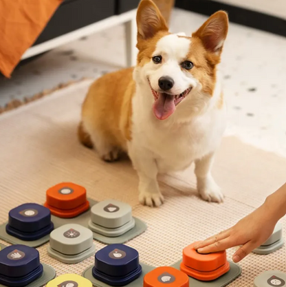 Pet Communication Button Recorder