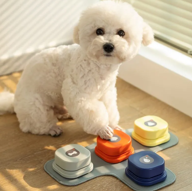 Pet Communication Button Recorder