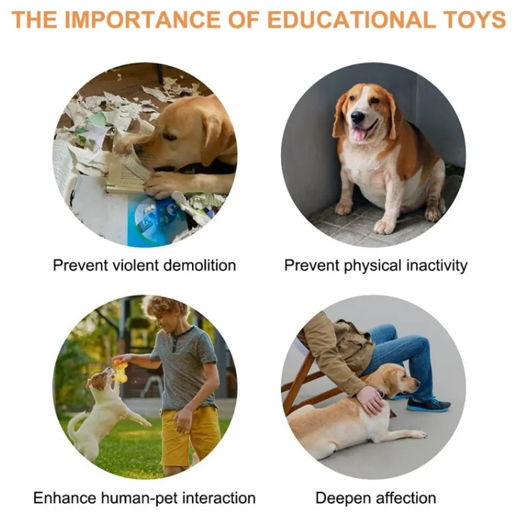Pet Communication Button Recorder