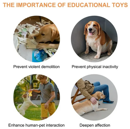 Pet Communication Button Recorder