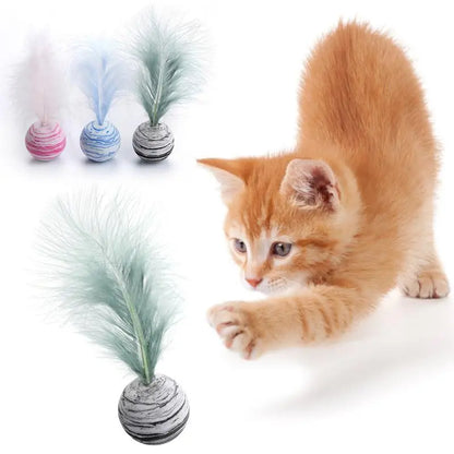 Feather Cat Toy