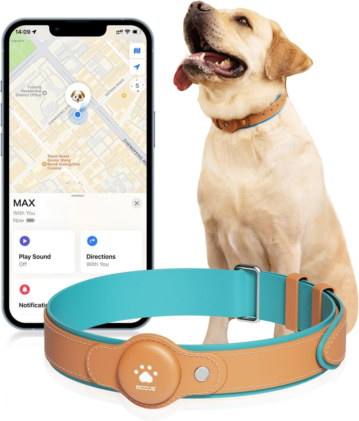 No Membership Needed Universal GPS Tracker for Dogs (Only iOS)